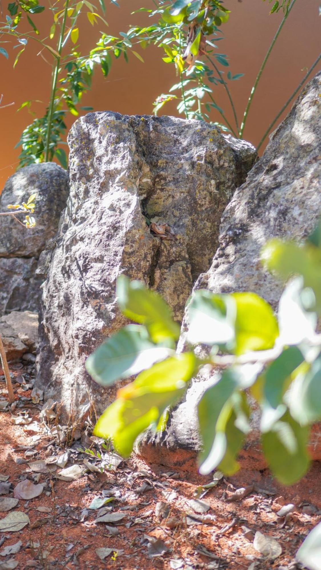 Vila Flor - Chapada Dos Veadeiros Alto Paraíso de Goiás Exterior foto