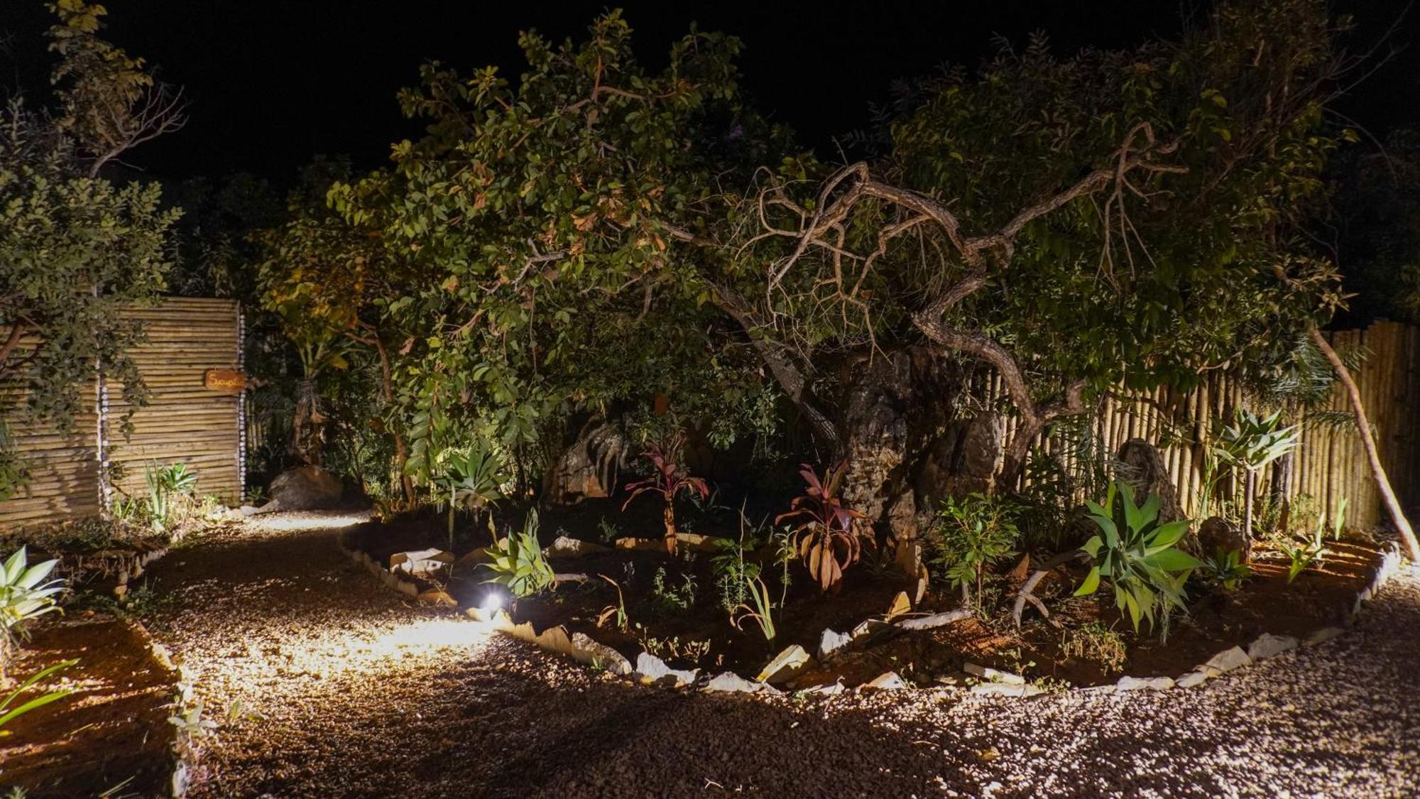 Vila Flor - Chapada Dos Veadeiros Alto Paraíso de Goiás Exterior foto